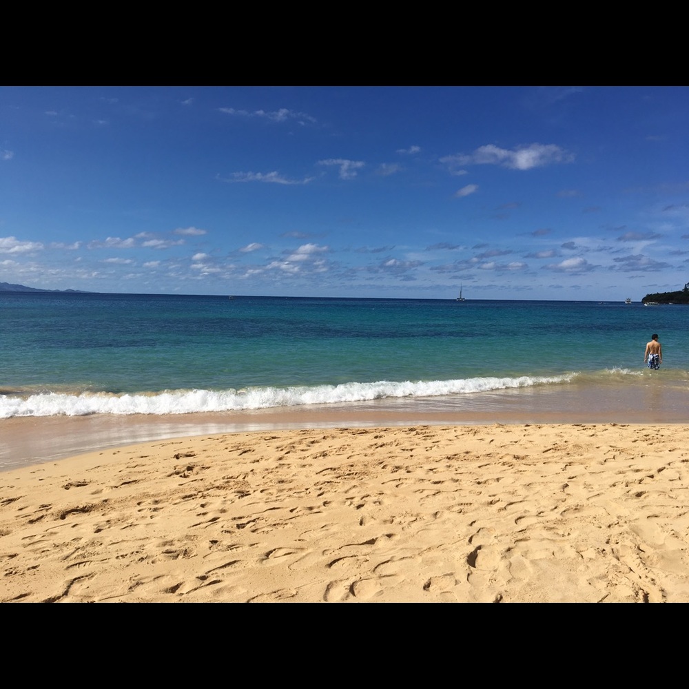 Meet your Posher, Wendy