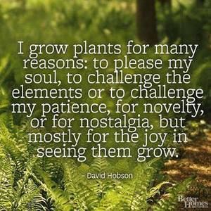 Meet your Posher, Wanda