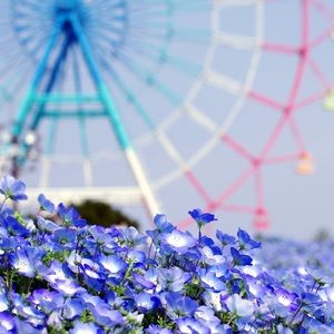 Meet your Posher, Adina