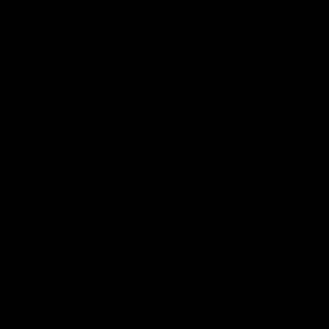 Meet your Posher, Vinnie