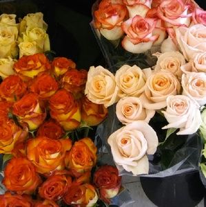 Meet your Posher, Jeanette