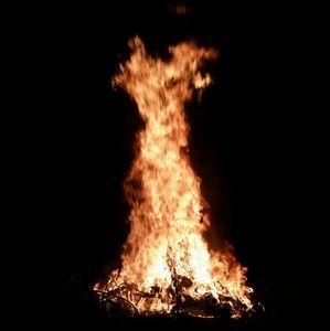 Meet your Posher, Austin