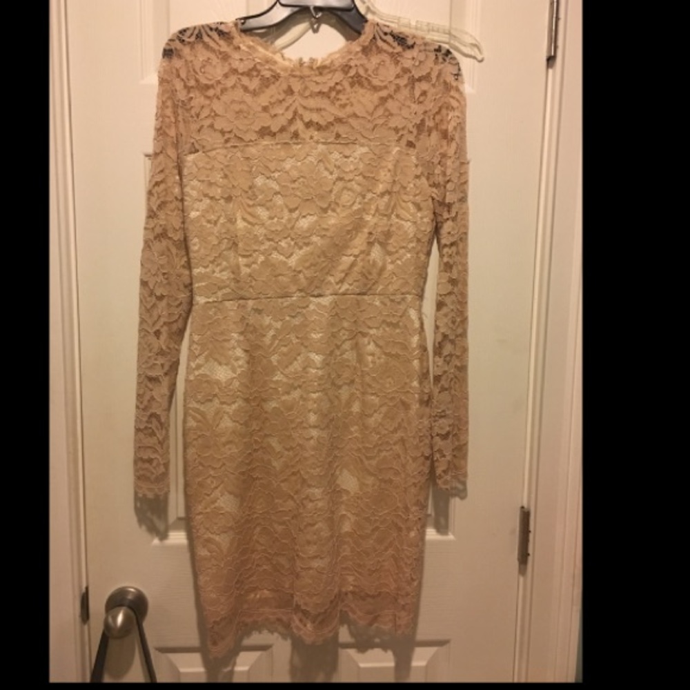 Blush Lace Dress