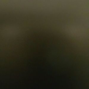 Meet your Posher, Marlene