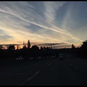 Meet your Posher, Bella