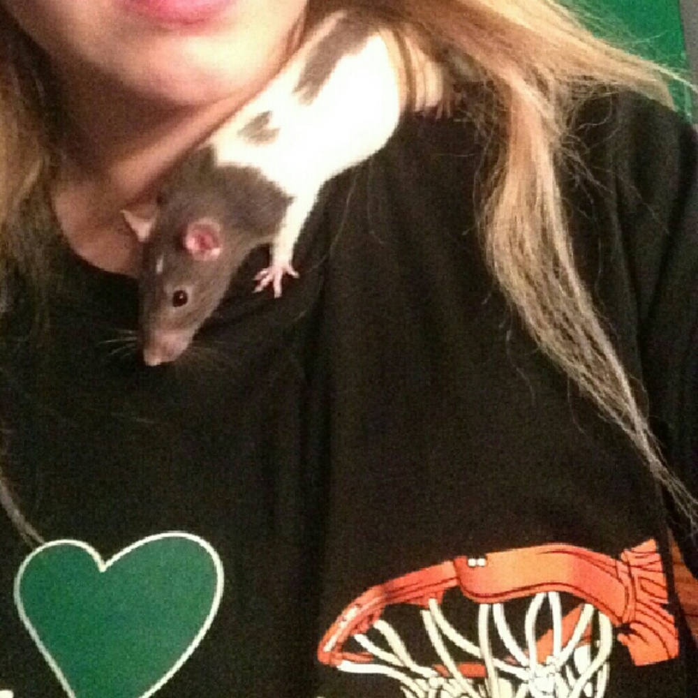 Meet your Posher, Emalie