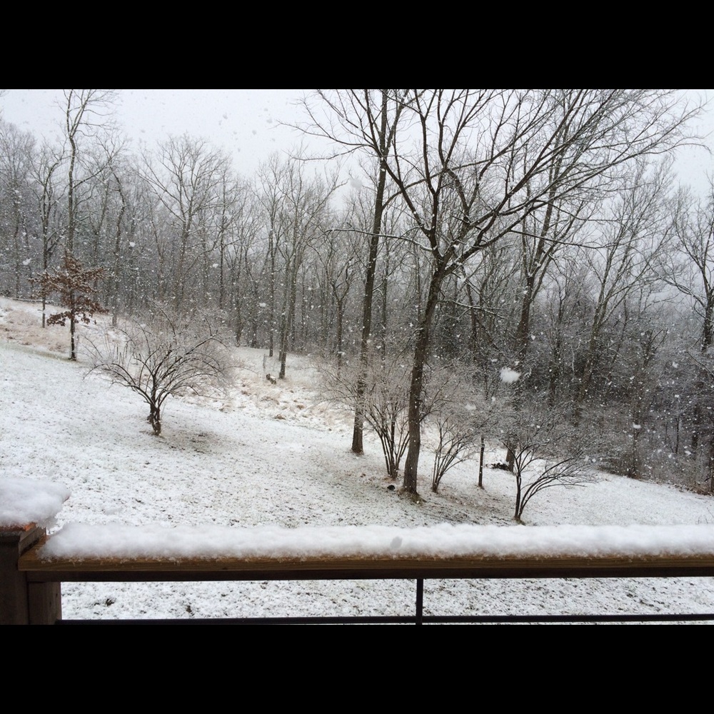 Meet your Posher, Melissa