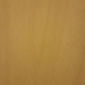 Meet your Posher, Mindy