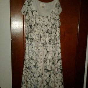 Size 16 LOFT dress