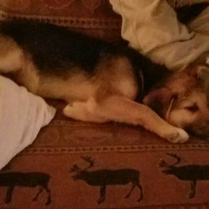 Meet your Posher, Connie