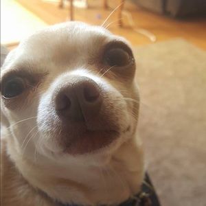 Meet your Posher, Jenn