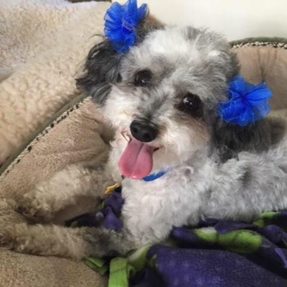 Meet your Posher, Jill - Picture 1 of 1