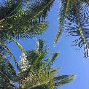 Meet your Posher, Maggie