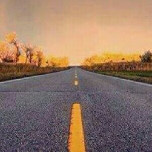 Meet your Posher, Evelyn