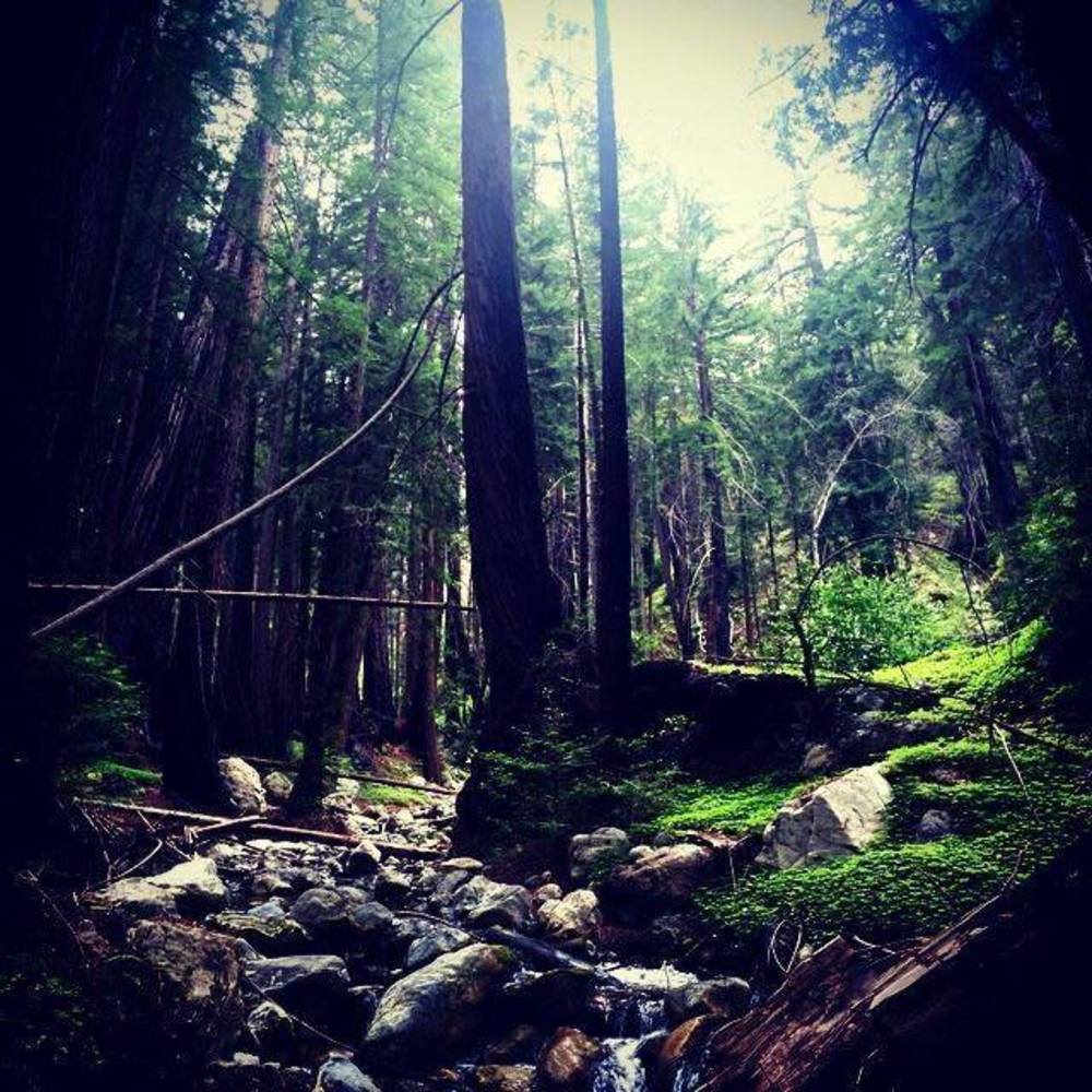 Meet your Posher, Kristina