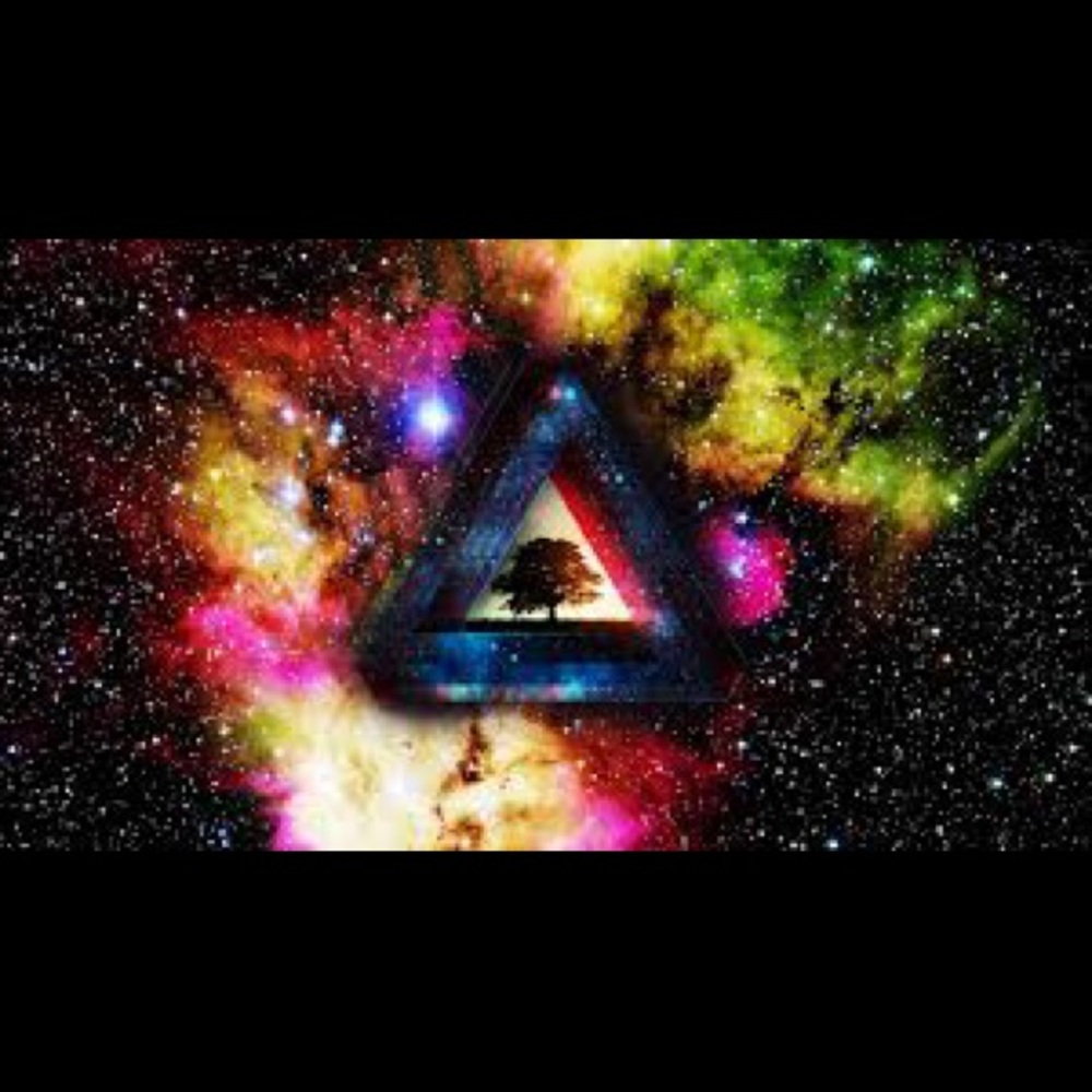 Meet your Posher, Diego