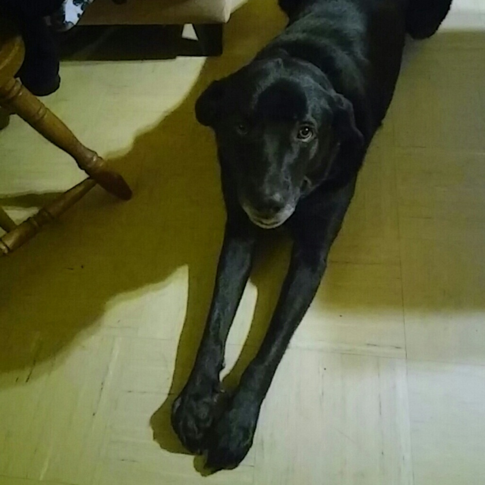 Meet your Posher, Loretta