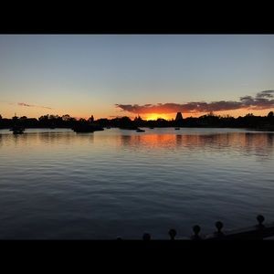 Meet your Posher, Ant