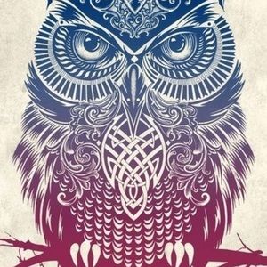 Meet your Posher, Kori