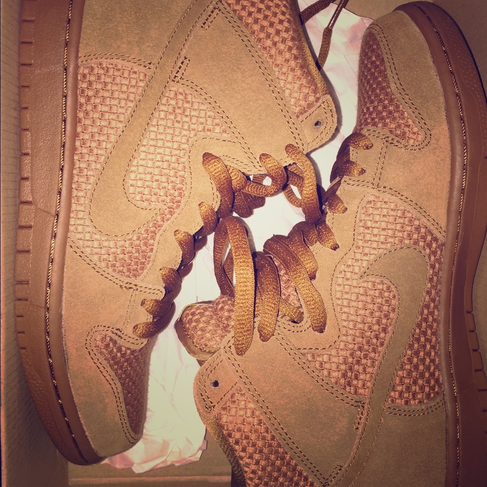 Nike Dunk High Premium SB Shoe