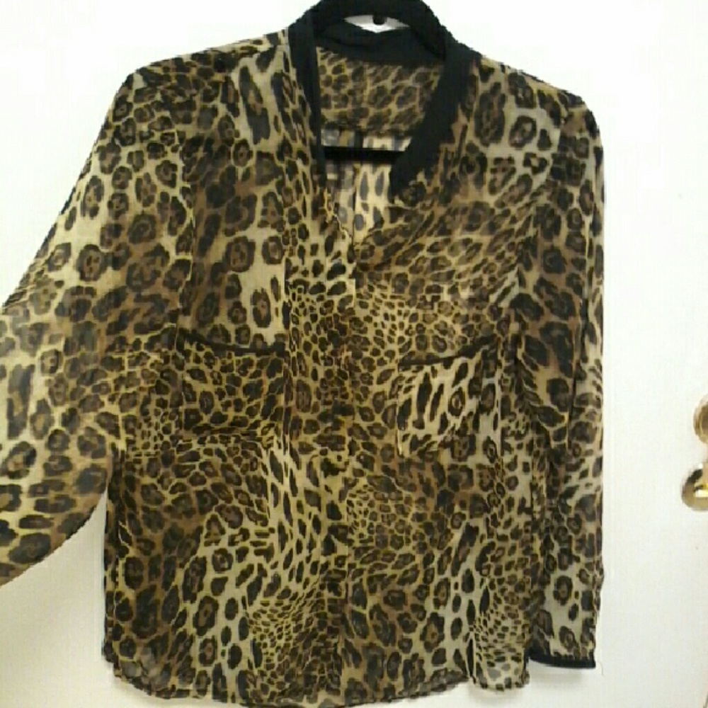 LADIES CLASSIC STYLISH  sheer blouse
