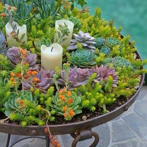 Meet your Posher, Brandy