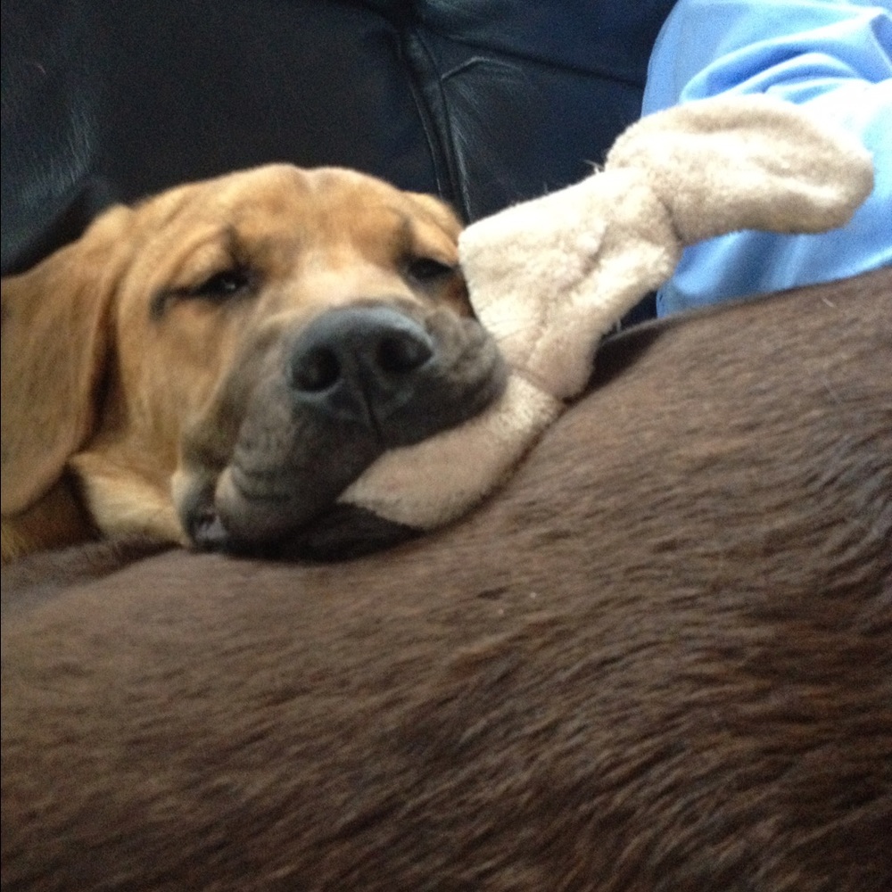 Meet your Posher, Kaziya