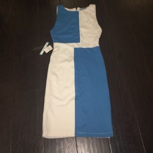 Alice & Olivia color blocked sheath dress NWT