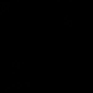 Meet your Posher, Karlie