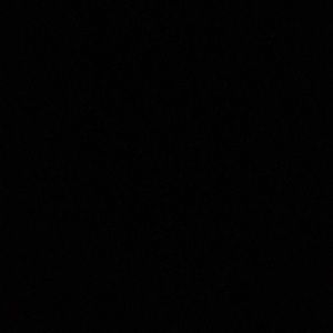 Meet your Posher, Solomon