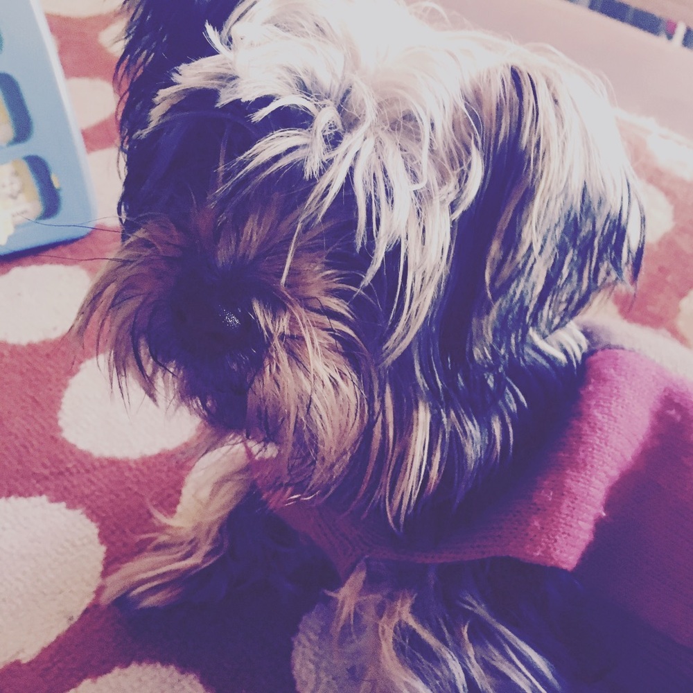 Meet your Posher, Nyah