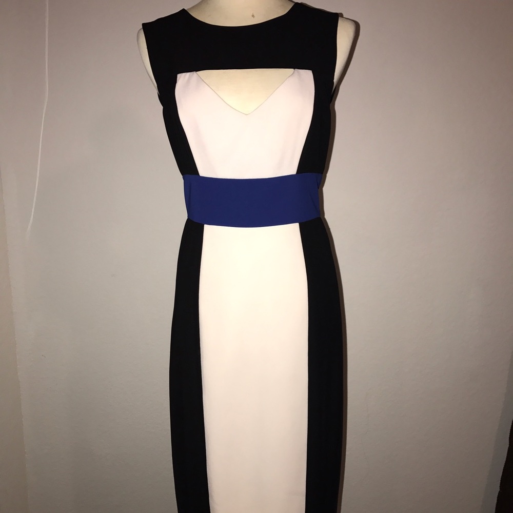 BCBG Maxazria "antonella" dress. Size 4