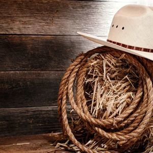 Meet your Posher, Laynie