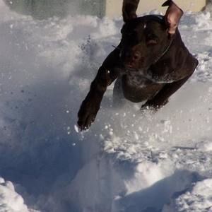 Meet your Posher, Karen