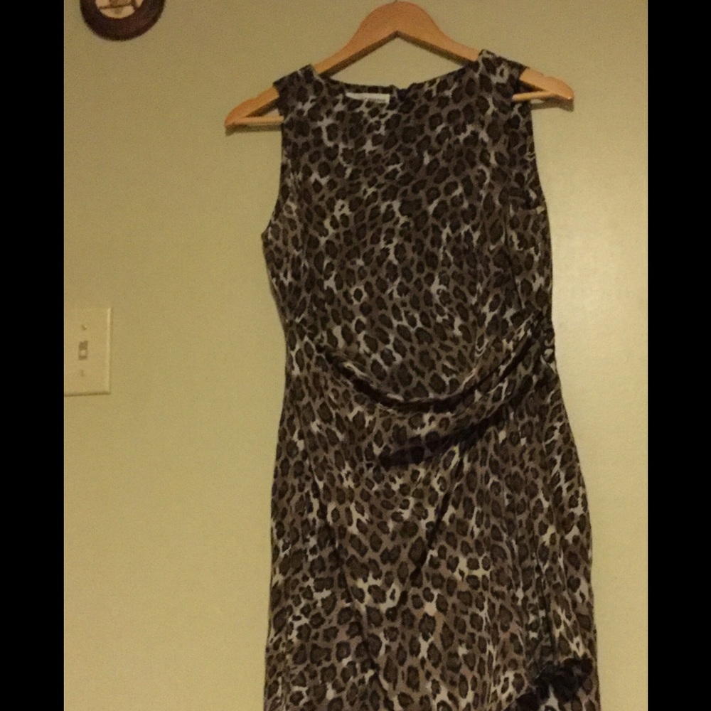 Animal Print Dress