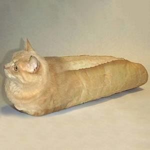 Meet your Posher, Vinny