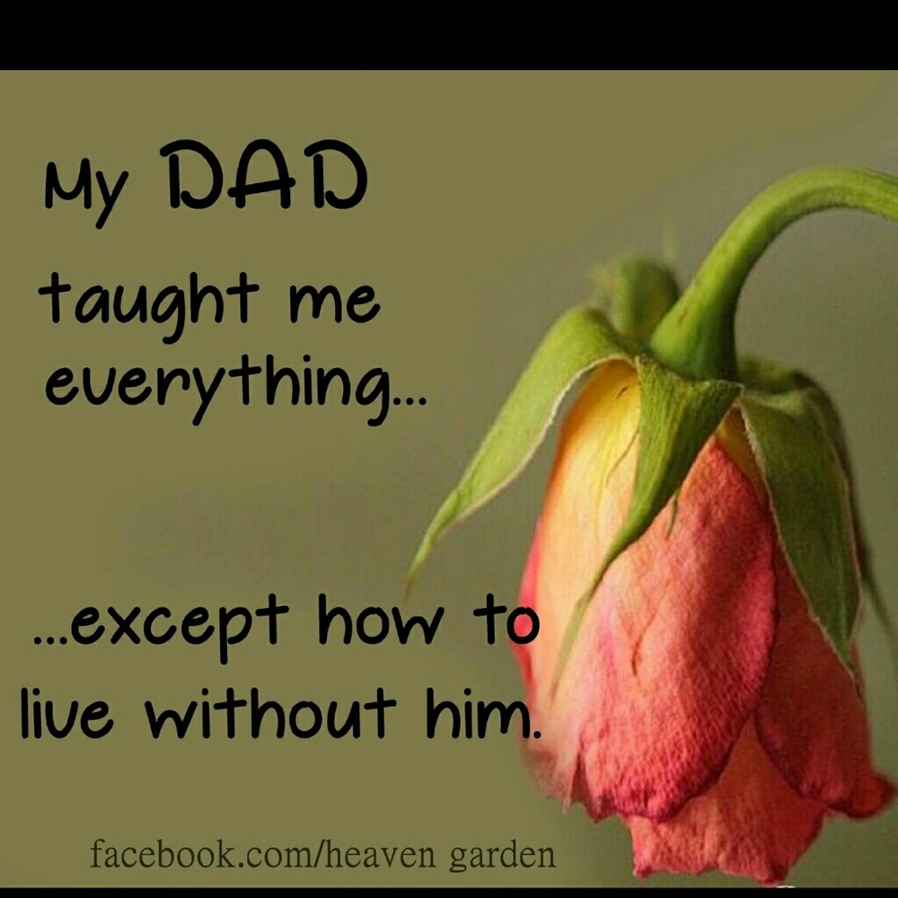 Meet your Posher, Darla