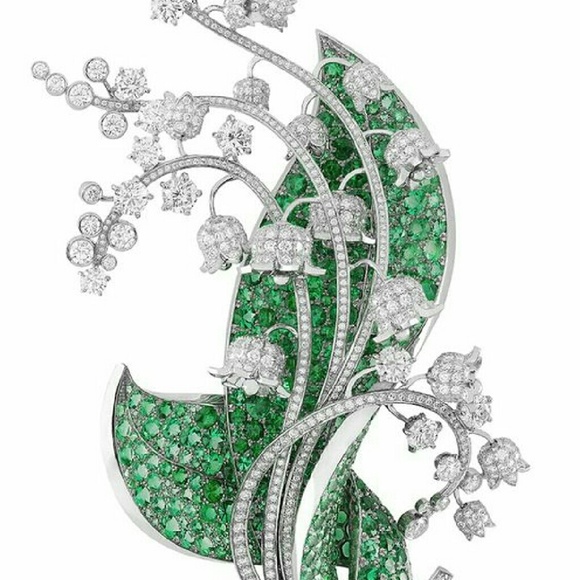 Meet your Posher, Deborah - Picture 1 of 1