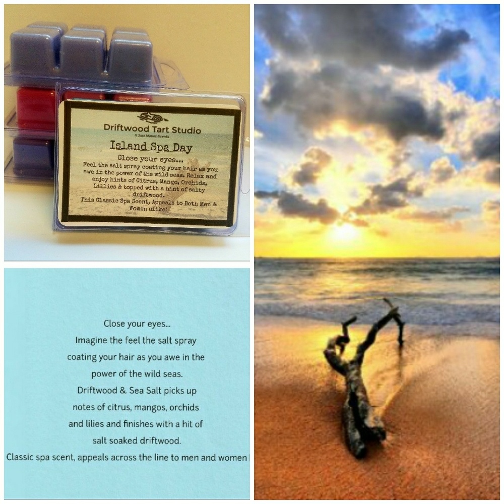 Island Spa Day soy blend wax melts/ tart