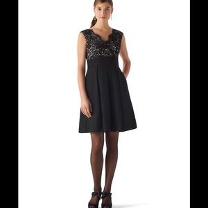 White House Black Market eyelash trim lace dress