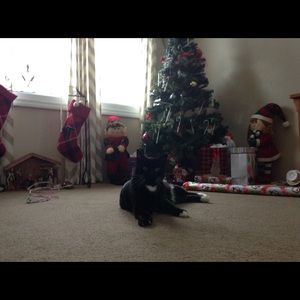 Meet your Posher, Alex