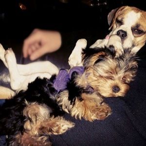 Meet your Posher, Melanie