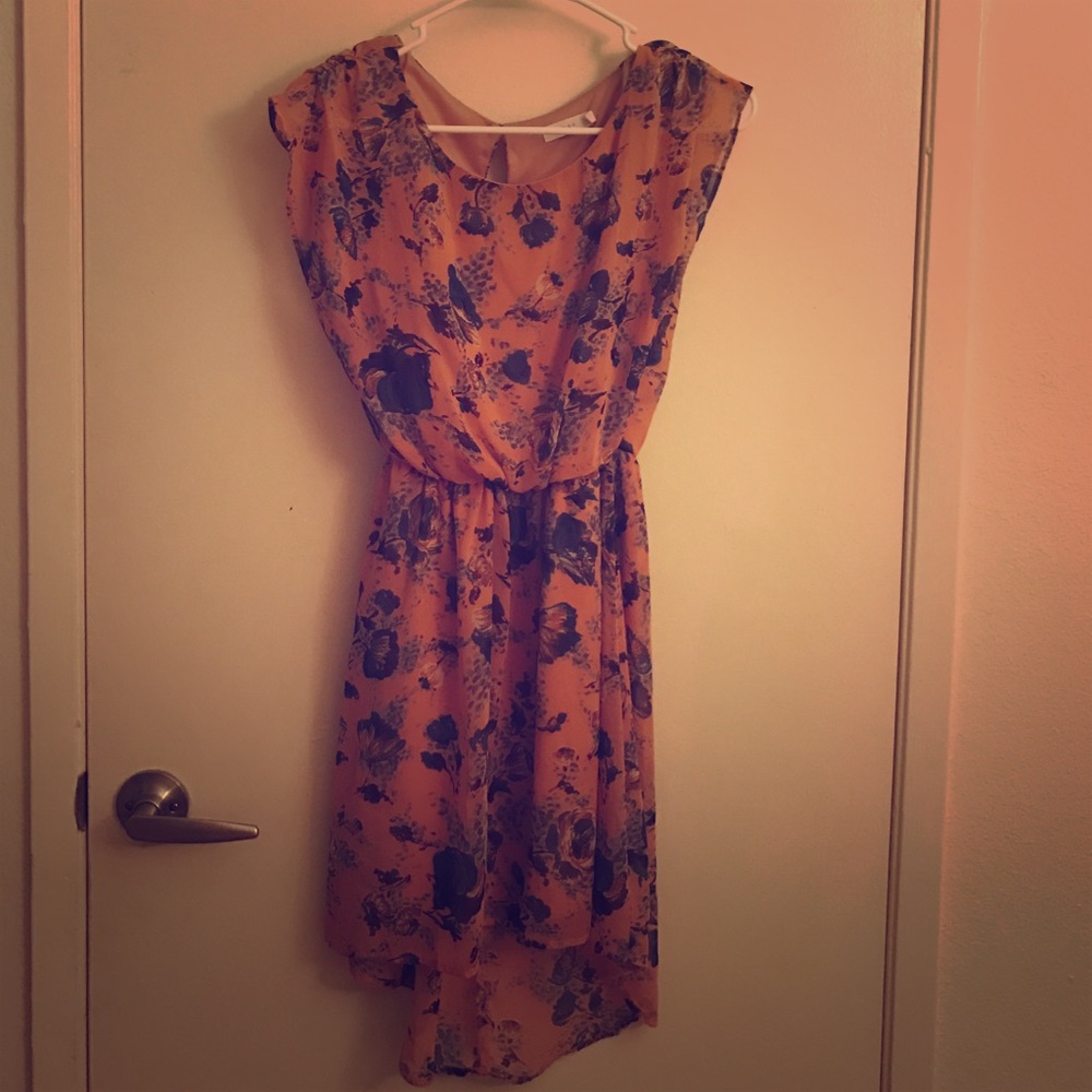 Blush and blue floral dress