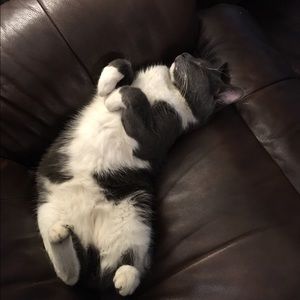 Meet your Posher, Cody