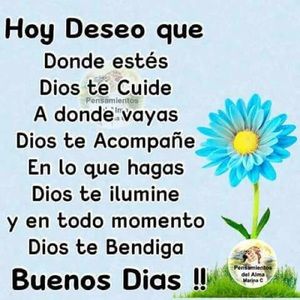 Meet your Posher, Carmen