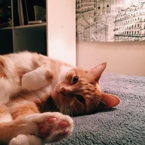 Meet your Posher, Christina