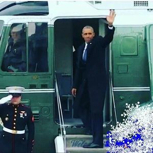 Meet your Posher, Bonita