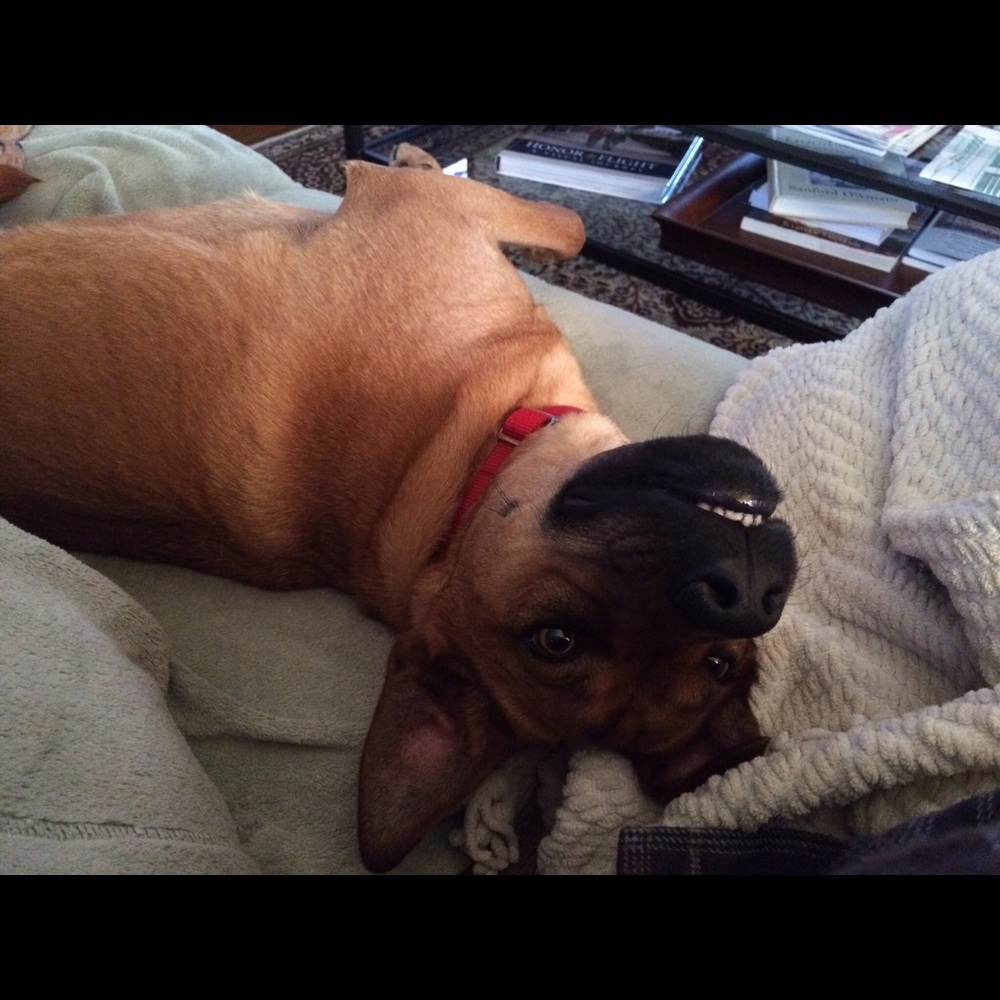 Hello! - Picture 2 of 8