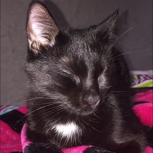 Meet your Posher, Jazmine