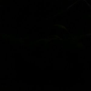 Meet your Posher, Jocelyn